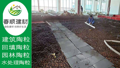 江西濾料廠家供應(yīng)水處理沉水生物陶粒 輕質(zhì)粘土陶?！?></a></div>
                    <div   id=